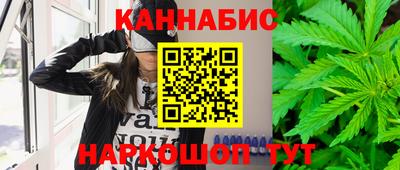 мдпв Михайловск