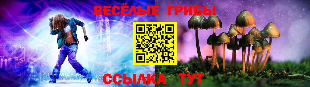Галлюциногенные грибы MAGIC MUSHROOMS  Вход с VPN  Великие Луки 